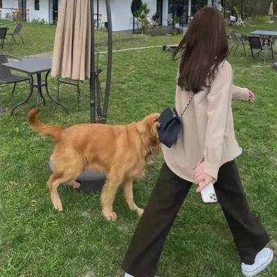 蛇形醉步